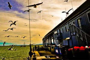 手机被攻击连续收短信